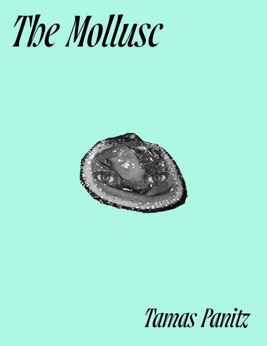 The Mollusc by Tamas Panitz